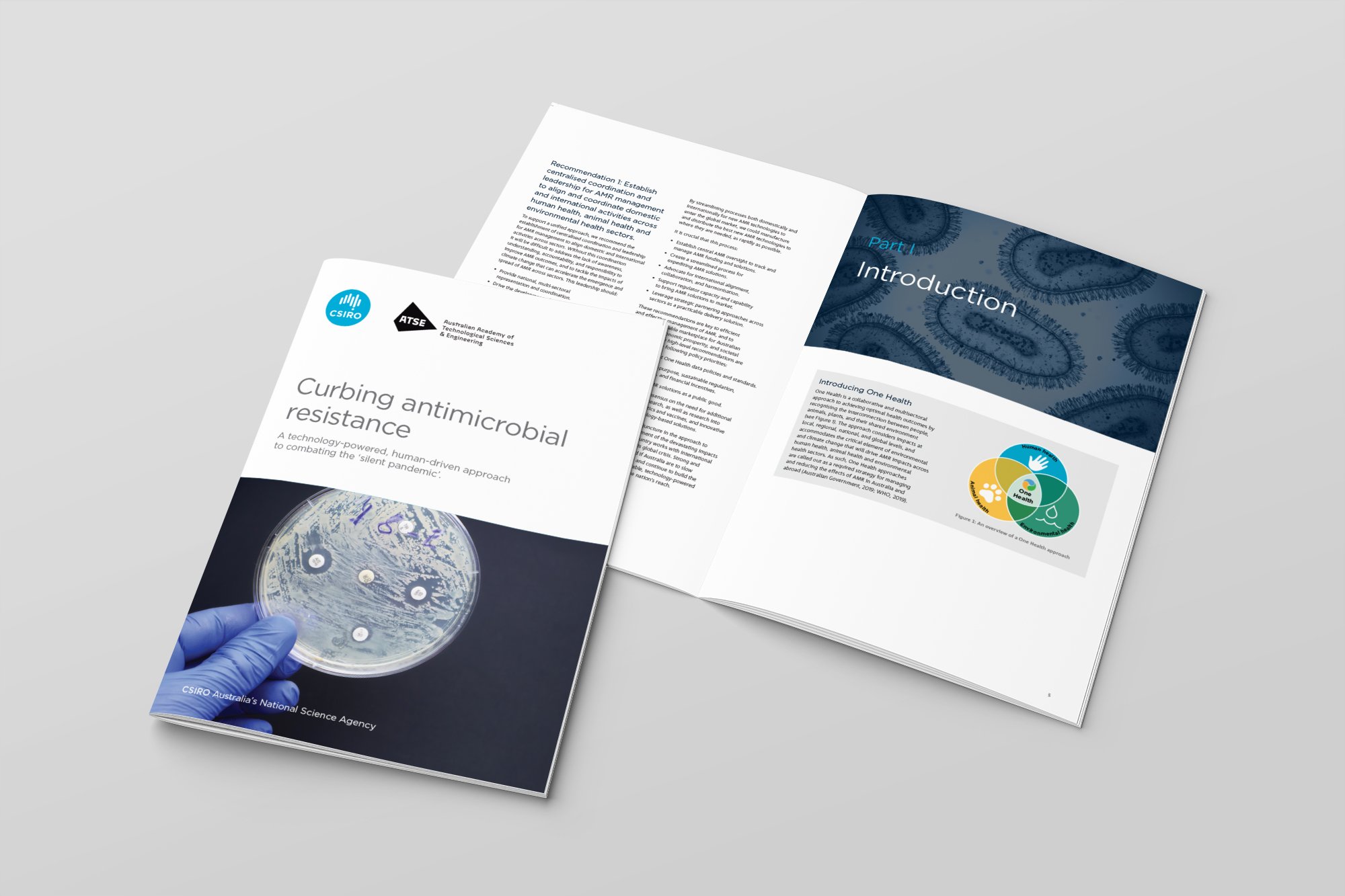 CSIRO | ATSE AMR Report