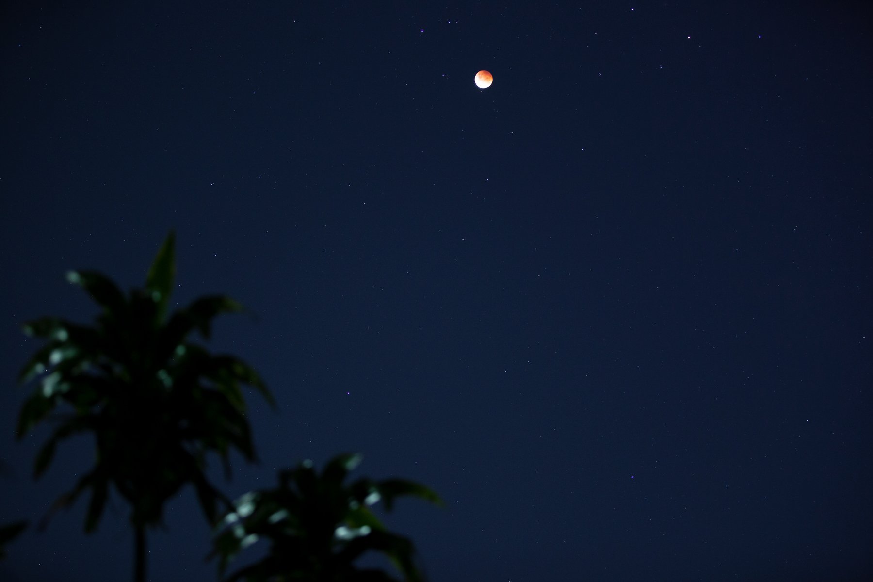 lunar-eclipse.jpg