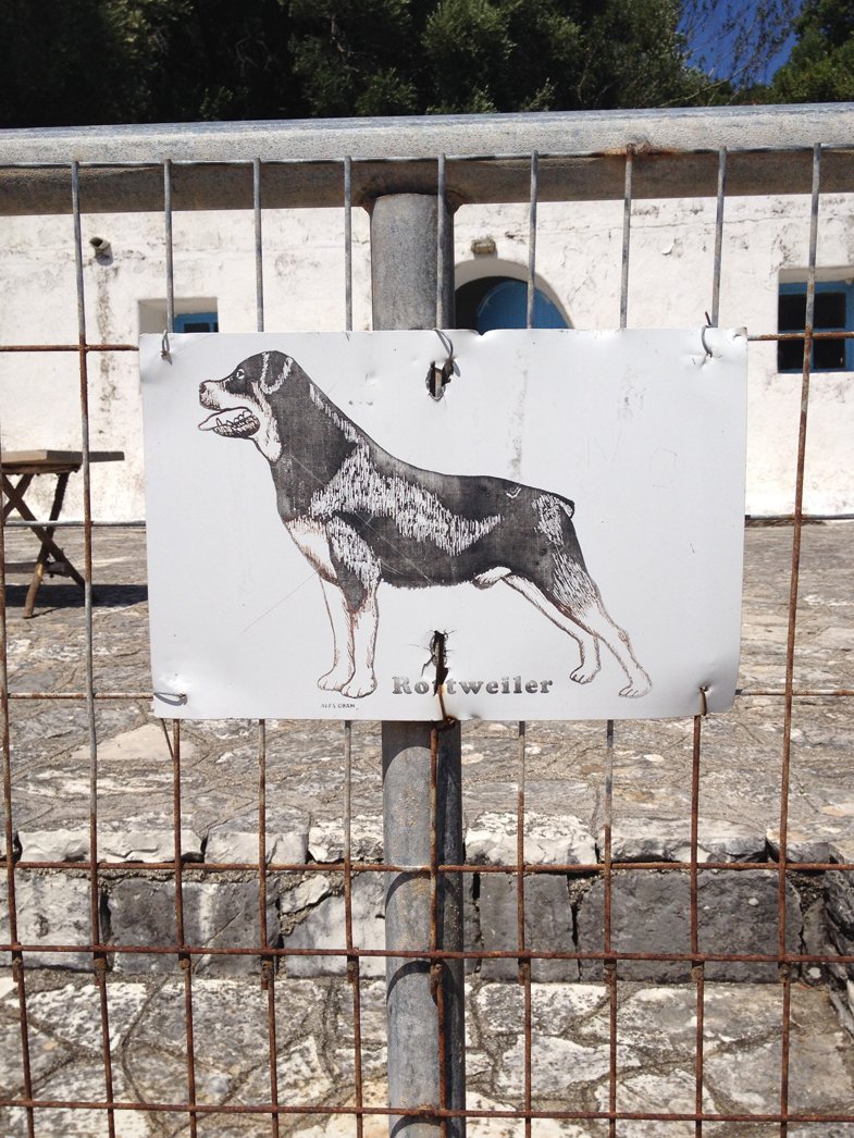 guard-dog.jpg