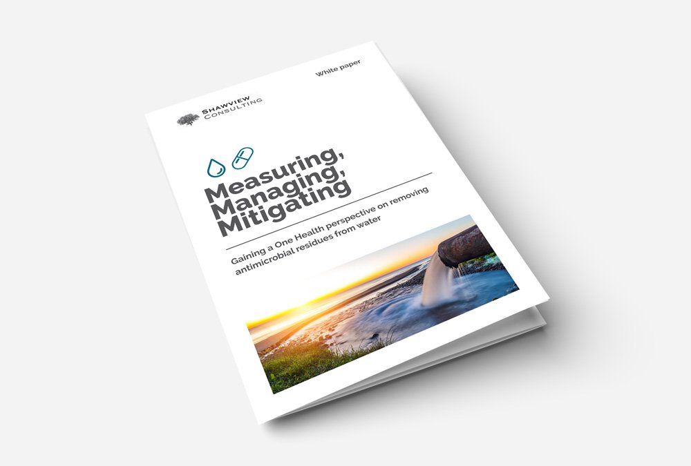 Shawview Consulting White Paper, 2023