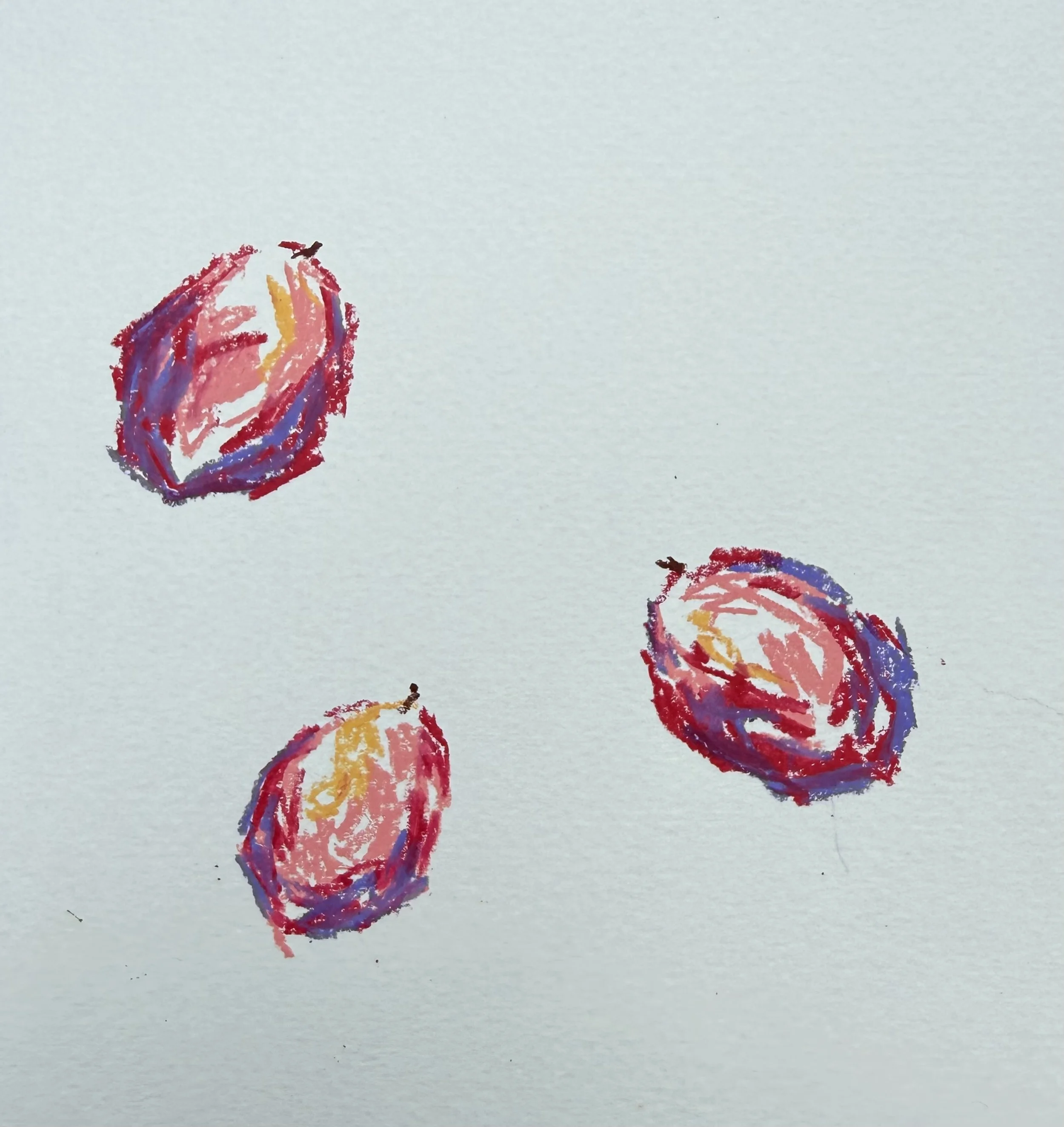 Plums II. Wax pastel on cold-pressed paper. 