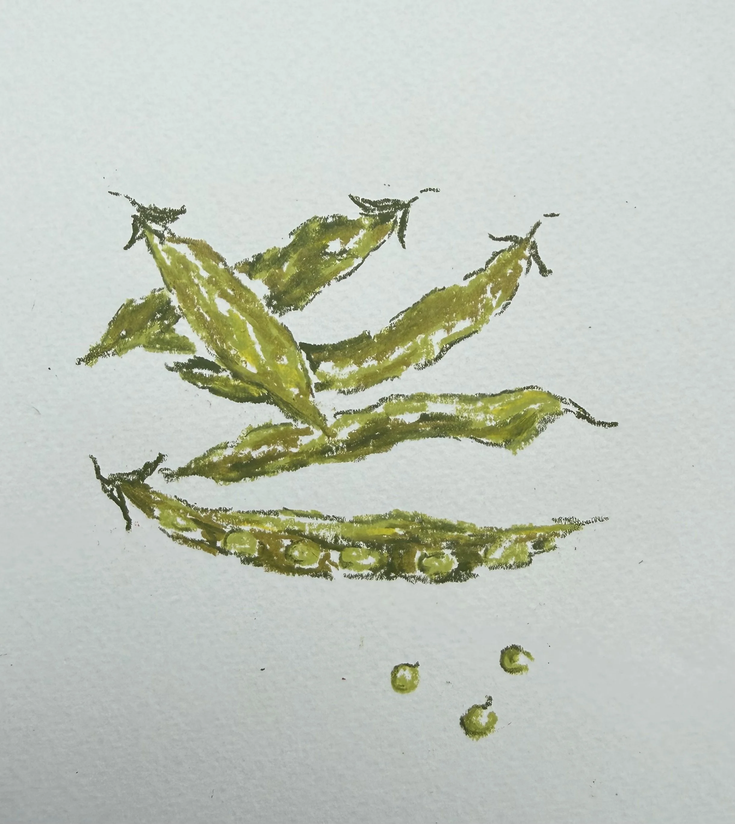 Sugar Snap Peas. Wax pastel on cold-pressed paper. 