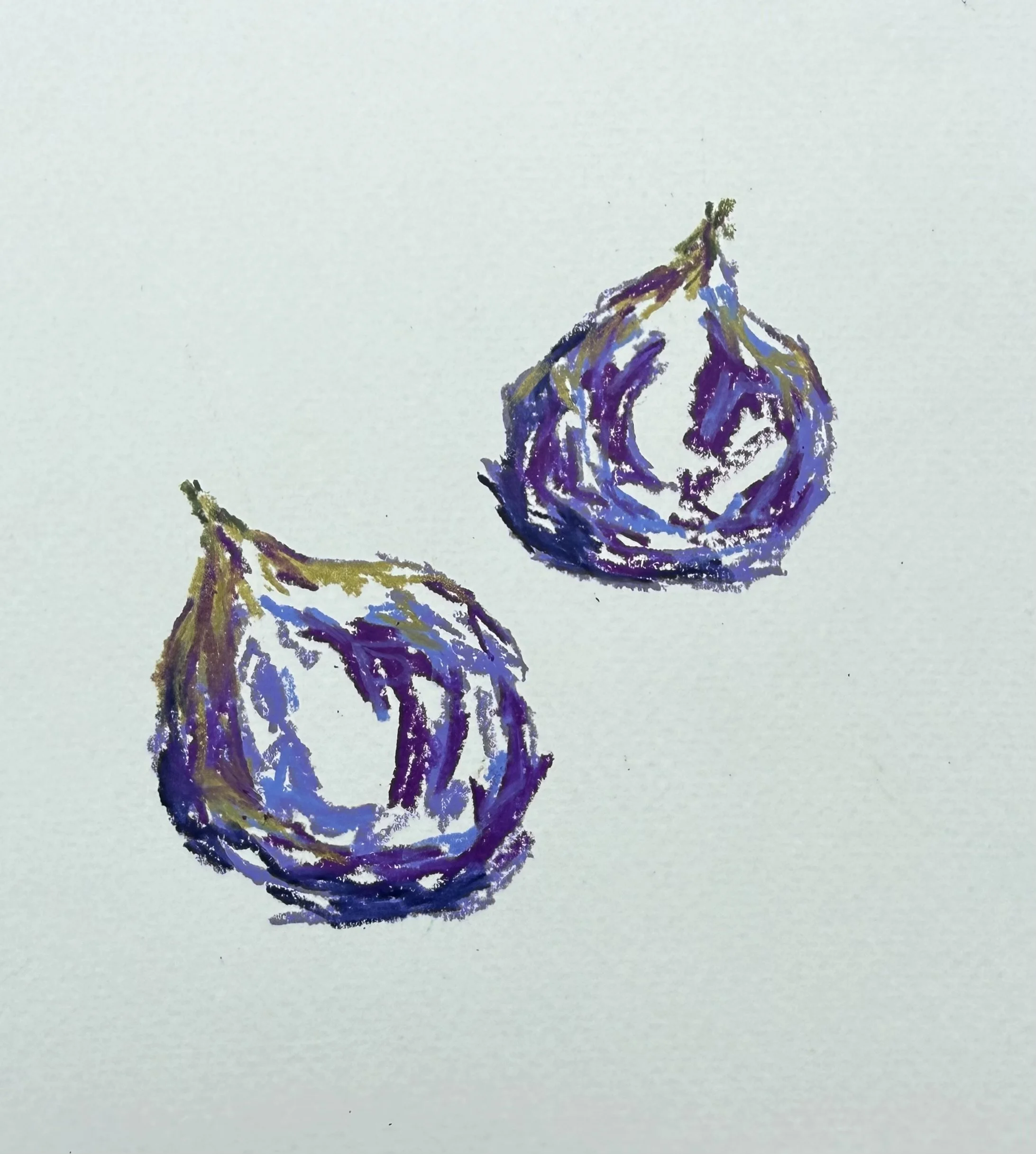 Figs. Wax pastel on cold-pressed paper. 