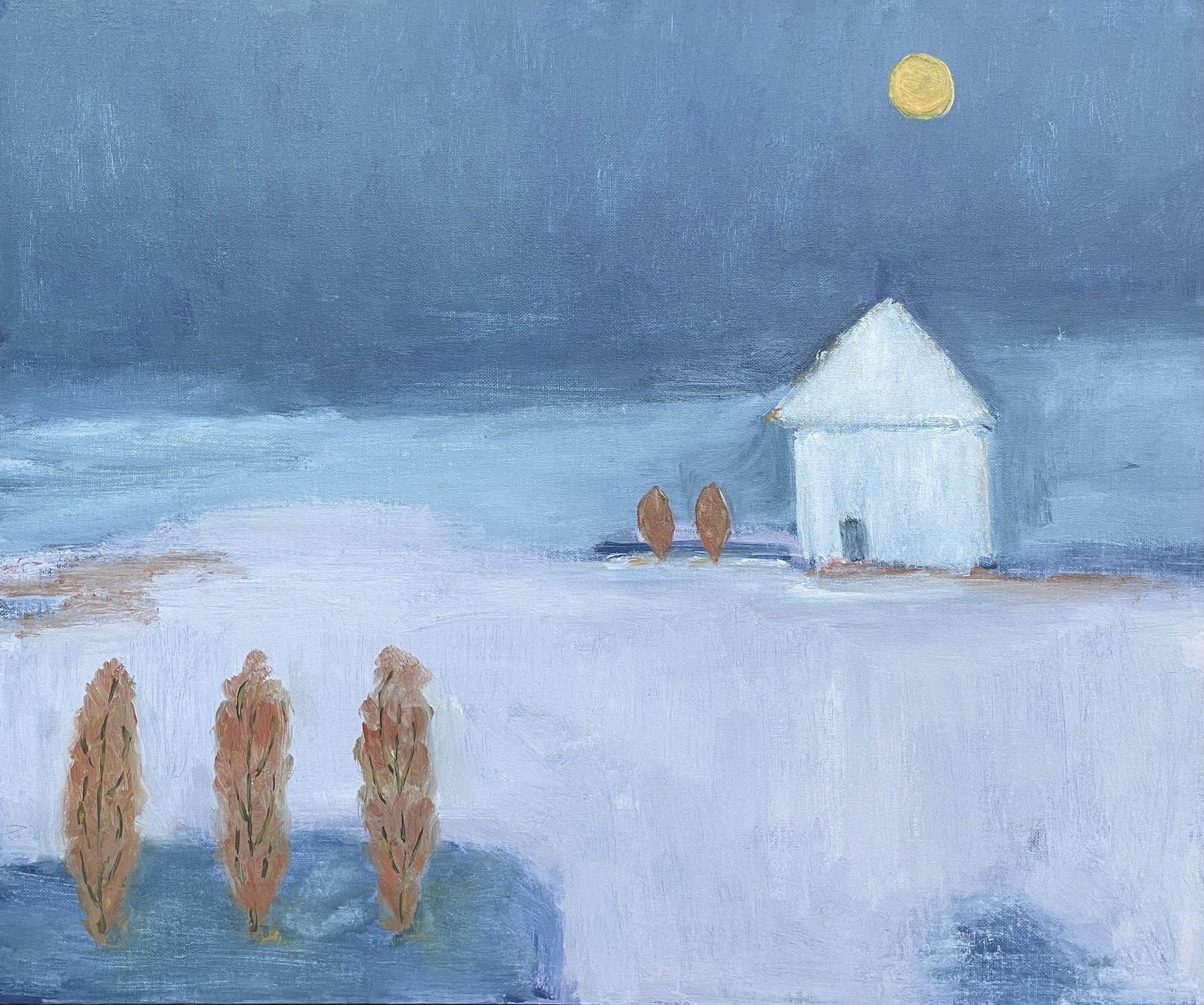 The Shed at Midnight