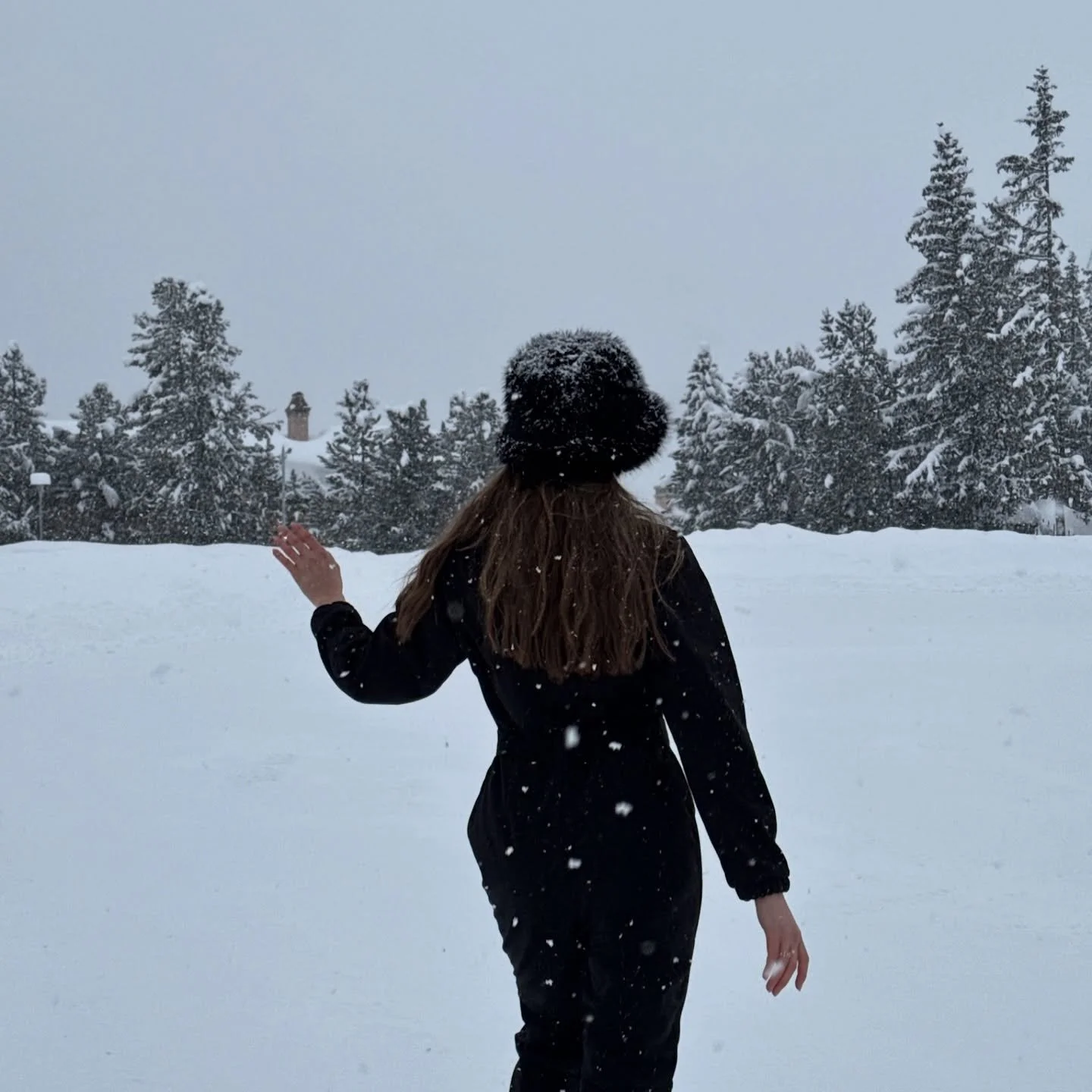 Pure winter elegance.