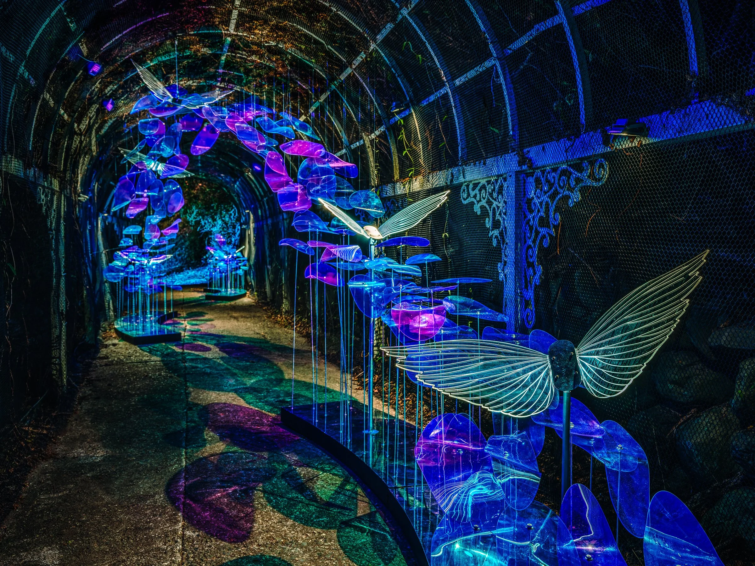 9.凡京設計 -《飛於波光和大地之間》02.jpg