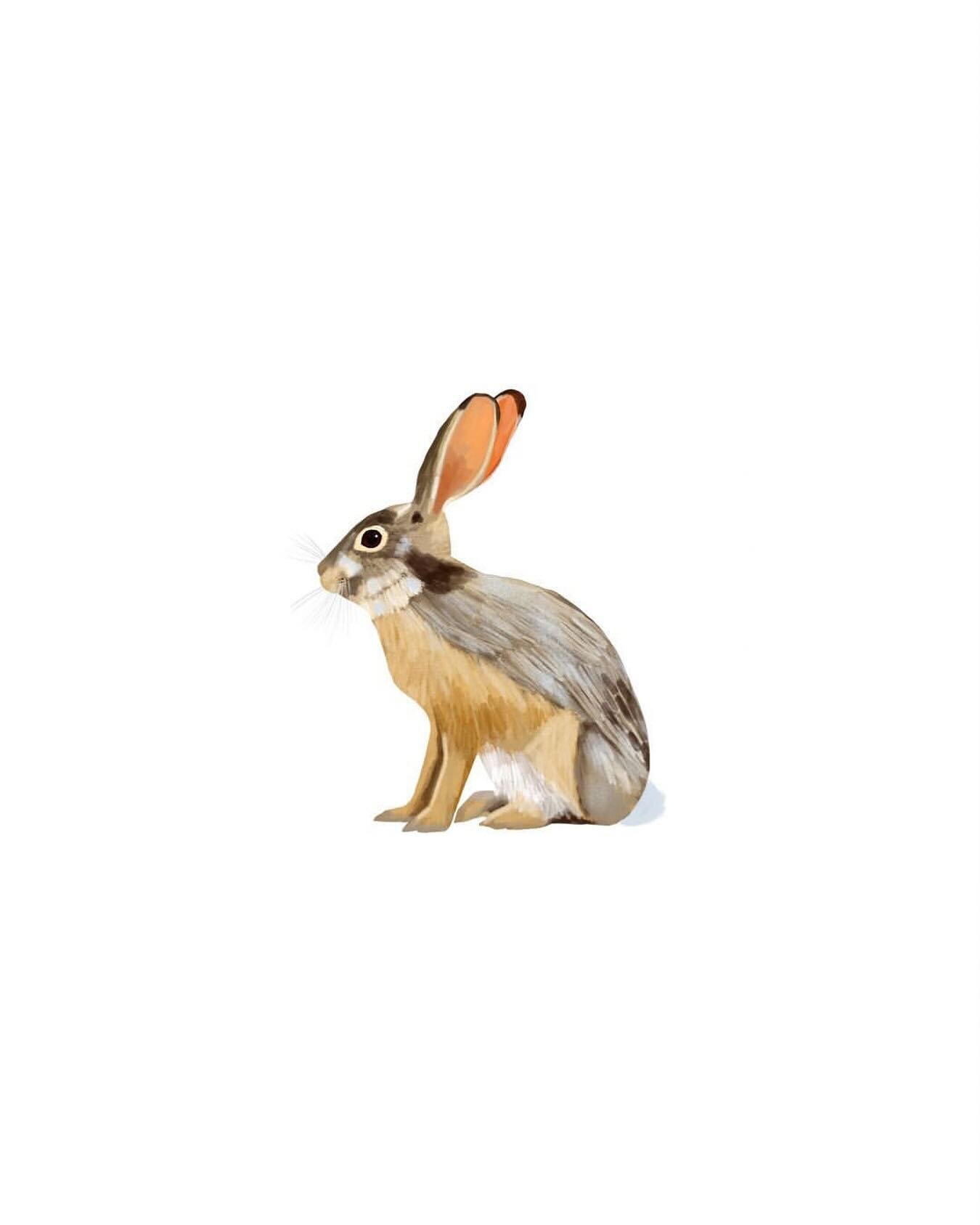 Happy Easter 🐰 

#bunnylovers #easterbunny #happyeastereveryone
