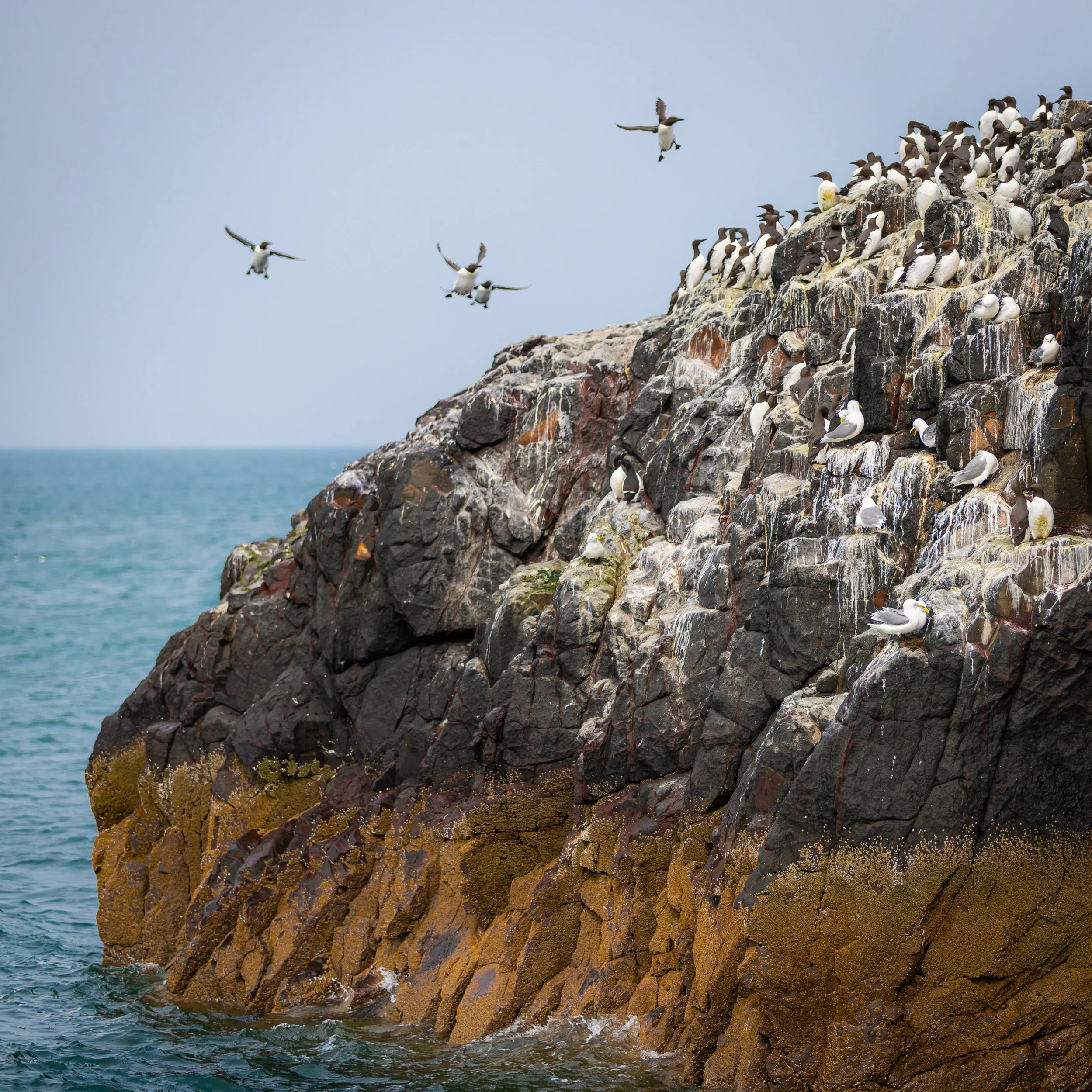 processed_IMG_9446 (1).jpg