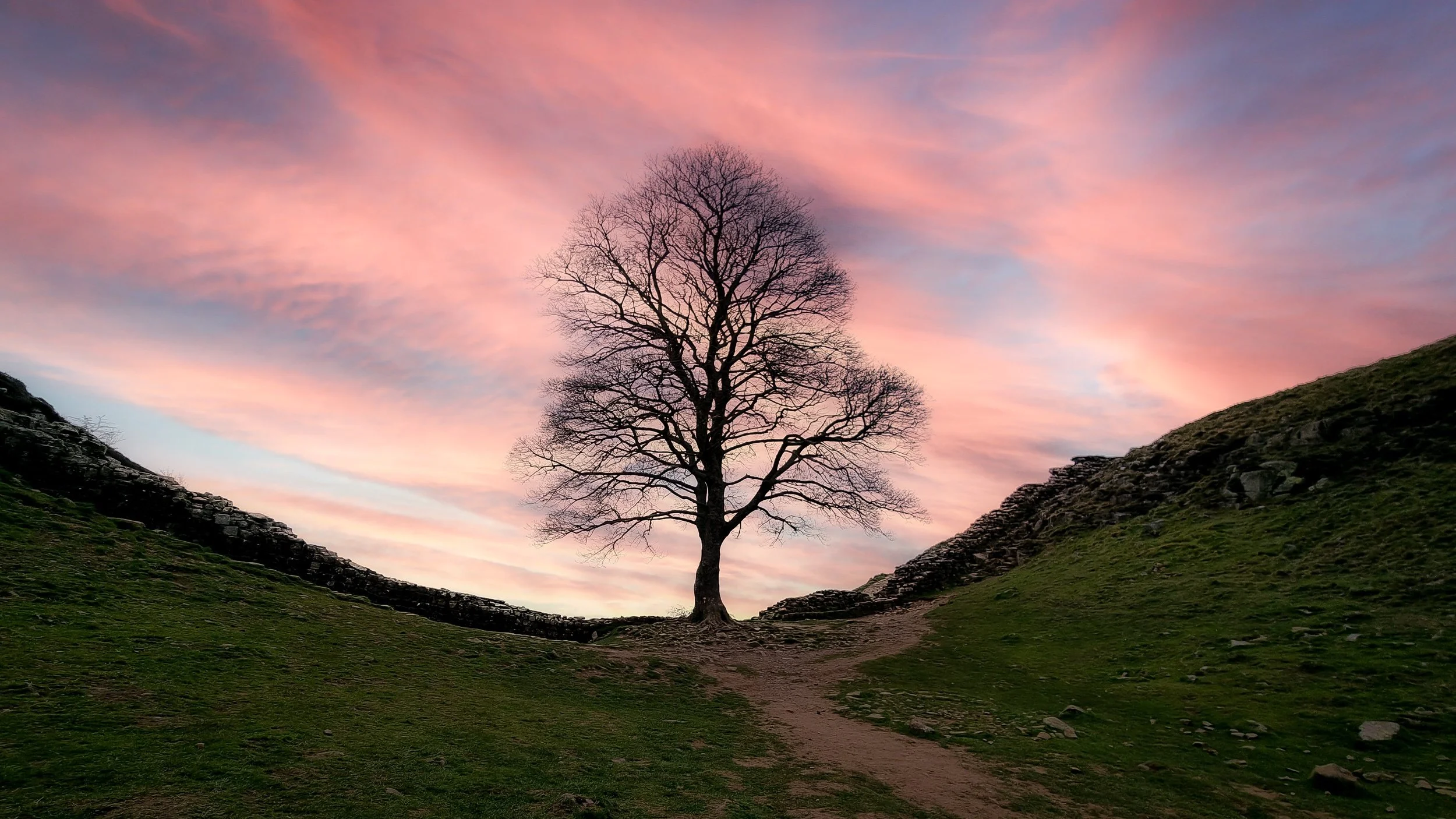 processed_Sycamore Gap.jpg