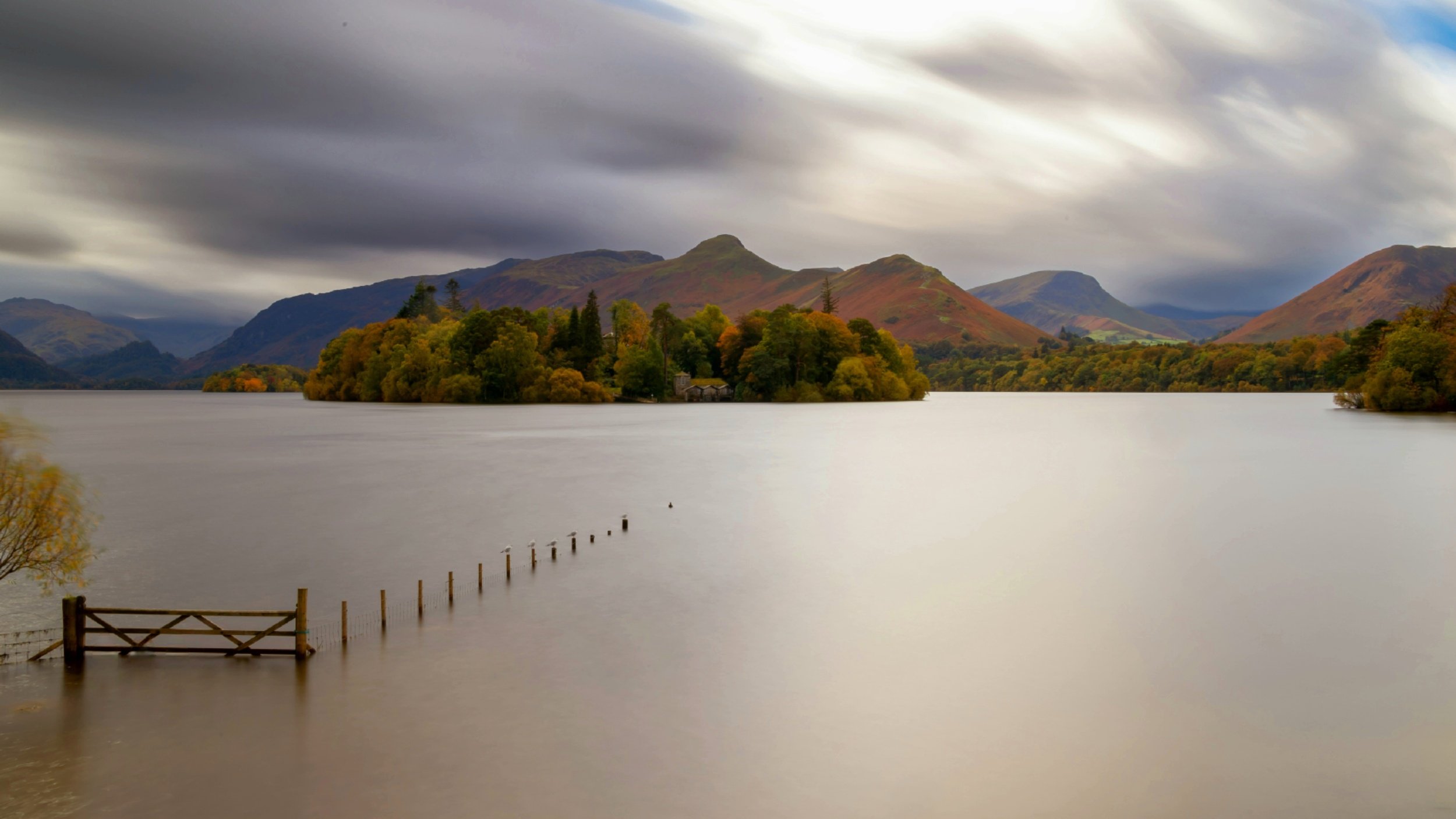 processed_IMG_7936 (1).jpg