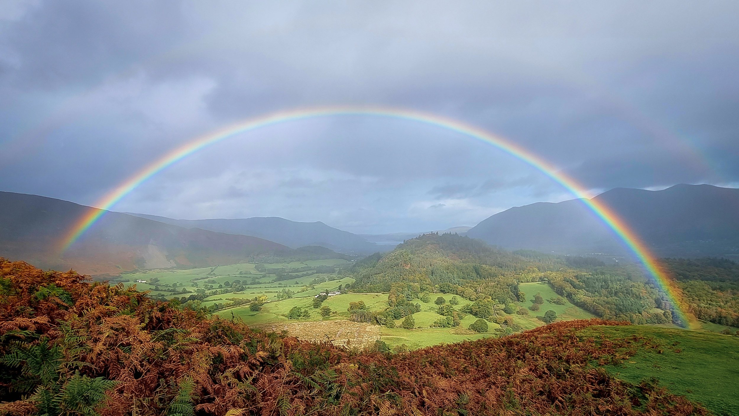 processed_20221015_112358 (1).jpg