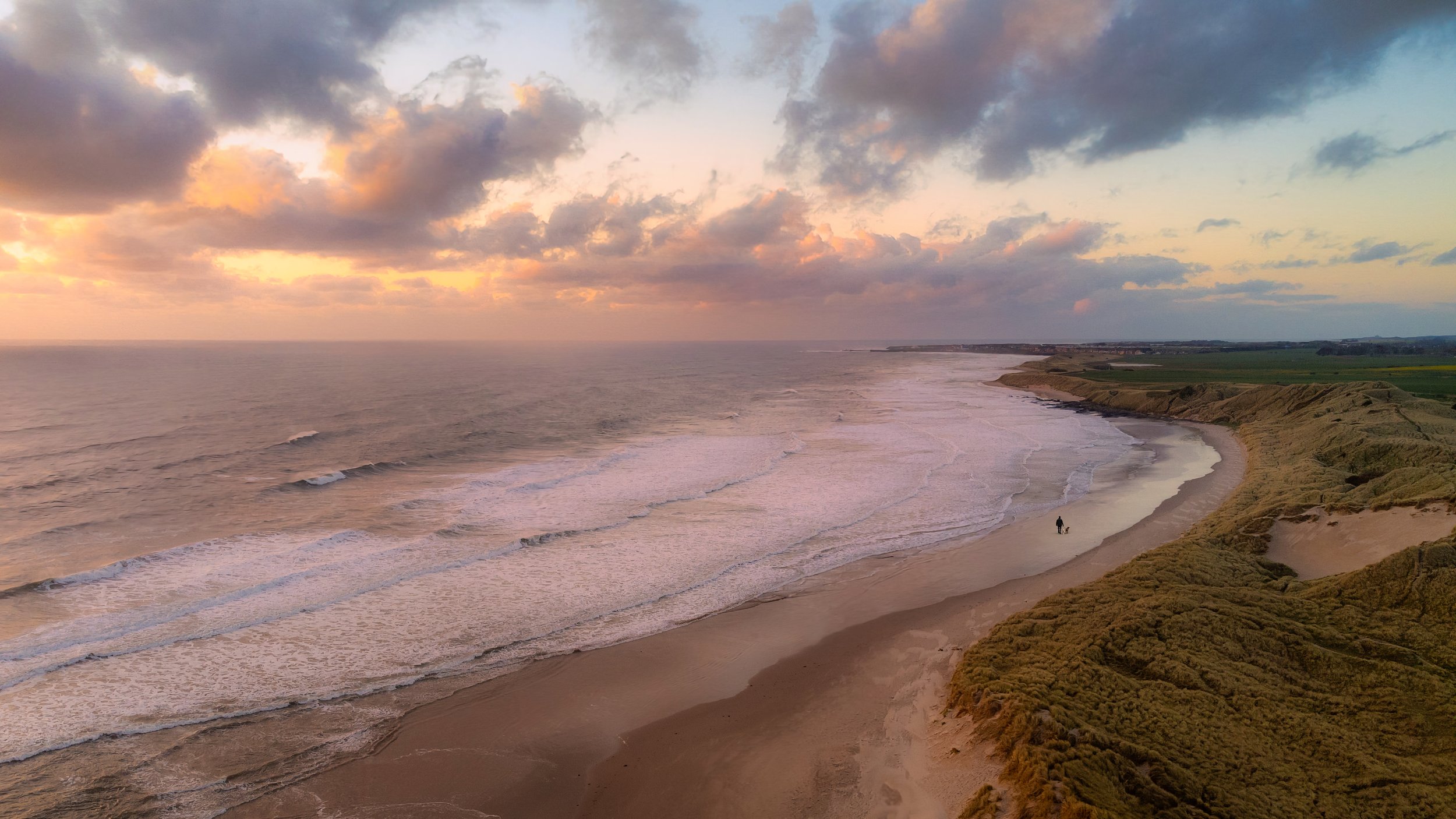 DJI_0464 (1)_genSwap.jpg