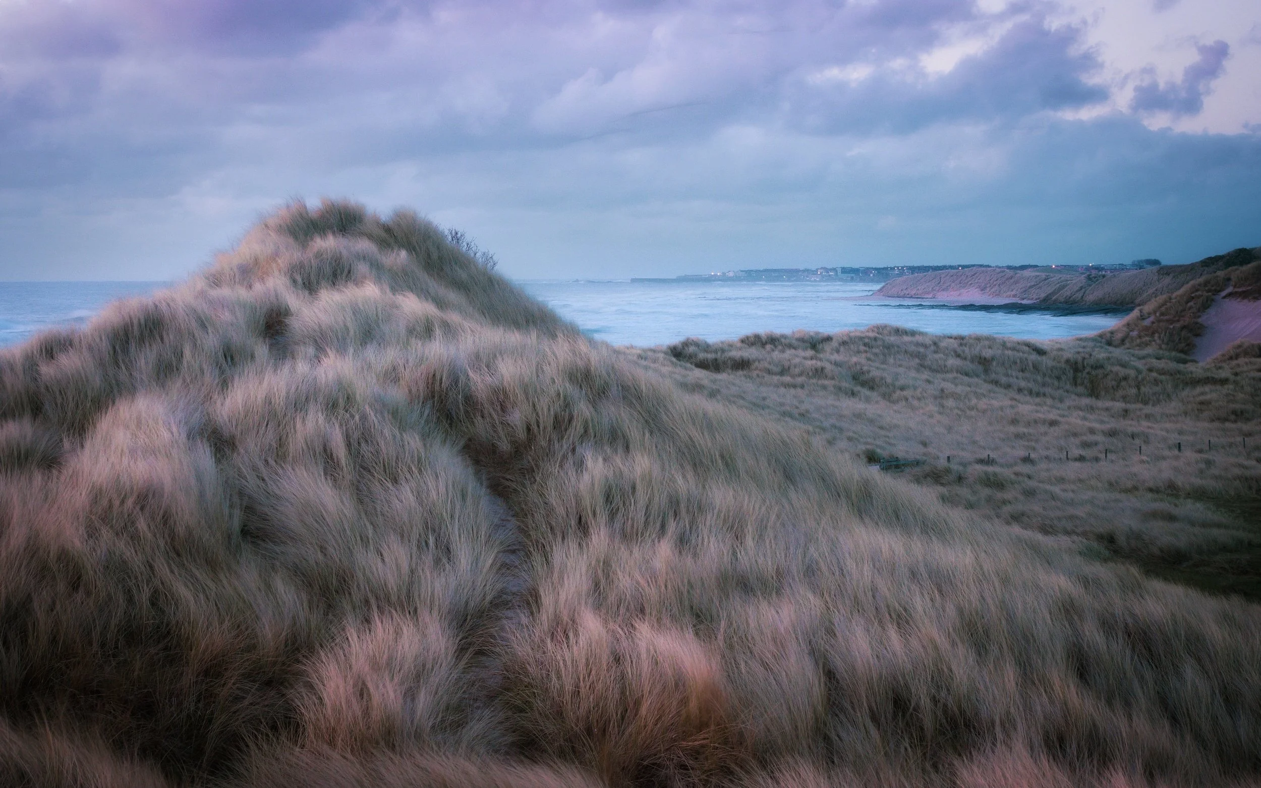 processed_IMG_9186 (1).jpg