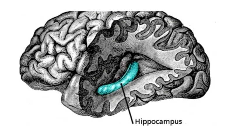 Memory and Depression