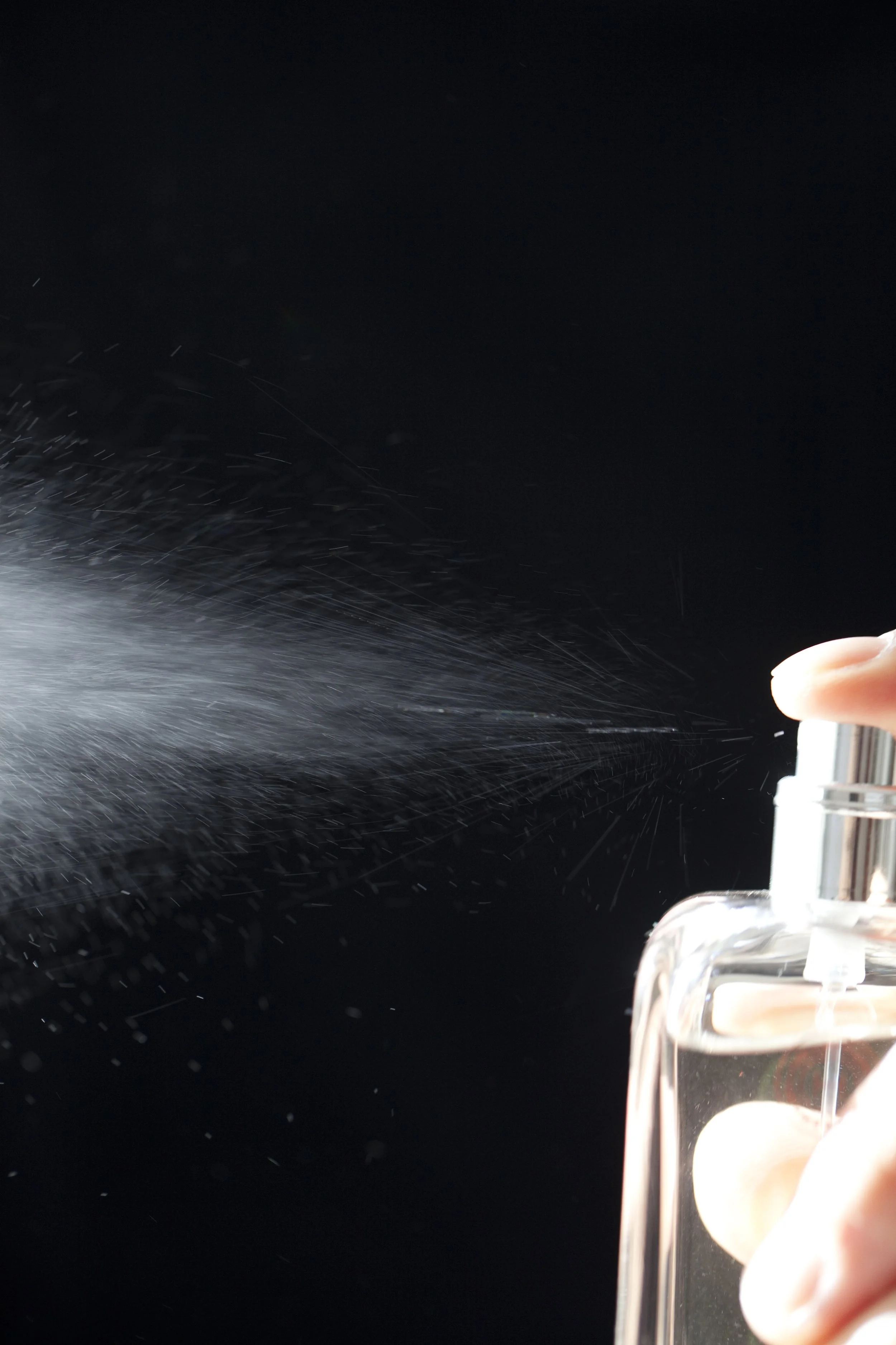 20111026-_MG_0786 copie.jpg