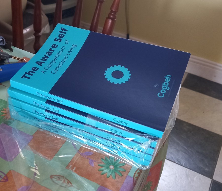 Why I Wrote A Self-Help Book That Critiques Self-Help Books
