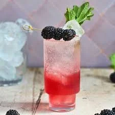 bramble fizz.jpg