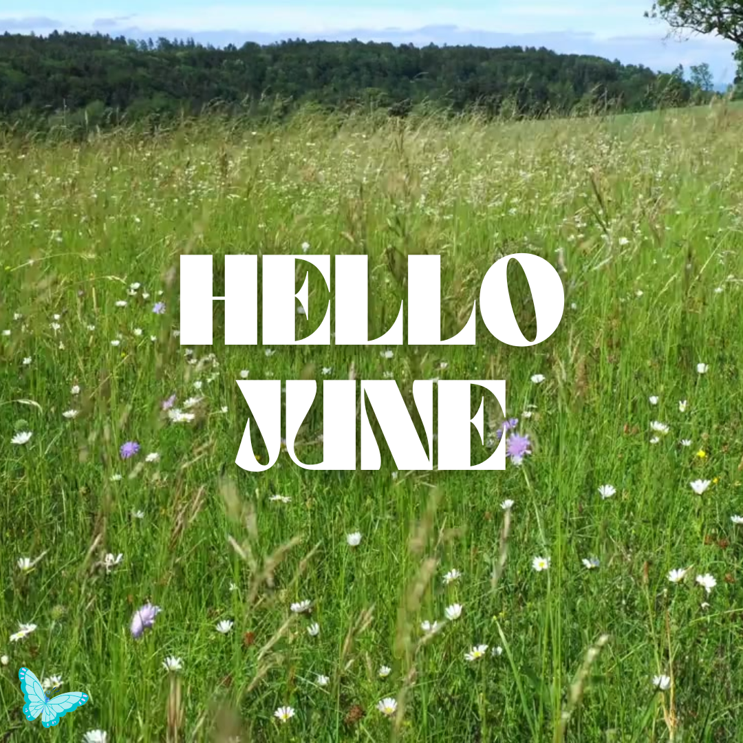 hello june.png