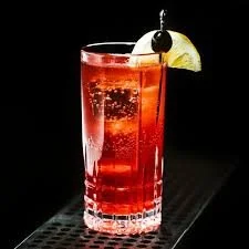 sloe gin.jpeg