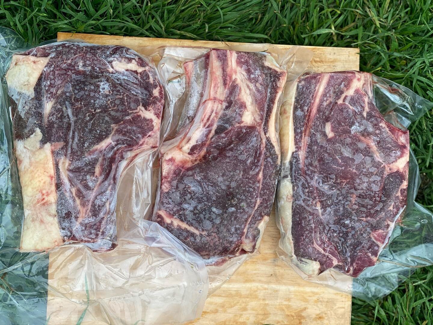 Have you read about all the health benefits of pasture raised beef ?

Take a look at these beautiful mouthwatering cuts!🥩🥩🥩Ribeyes, Tri-tip, and a Brisket we just packed for 20 lb box! 

Can you say vitamins, nutrient density, and bioavailble prot