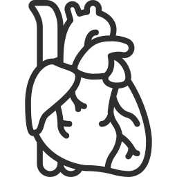 Outline drawing of a human heart in dark red.