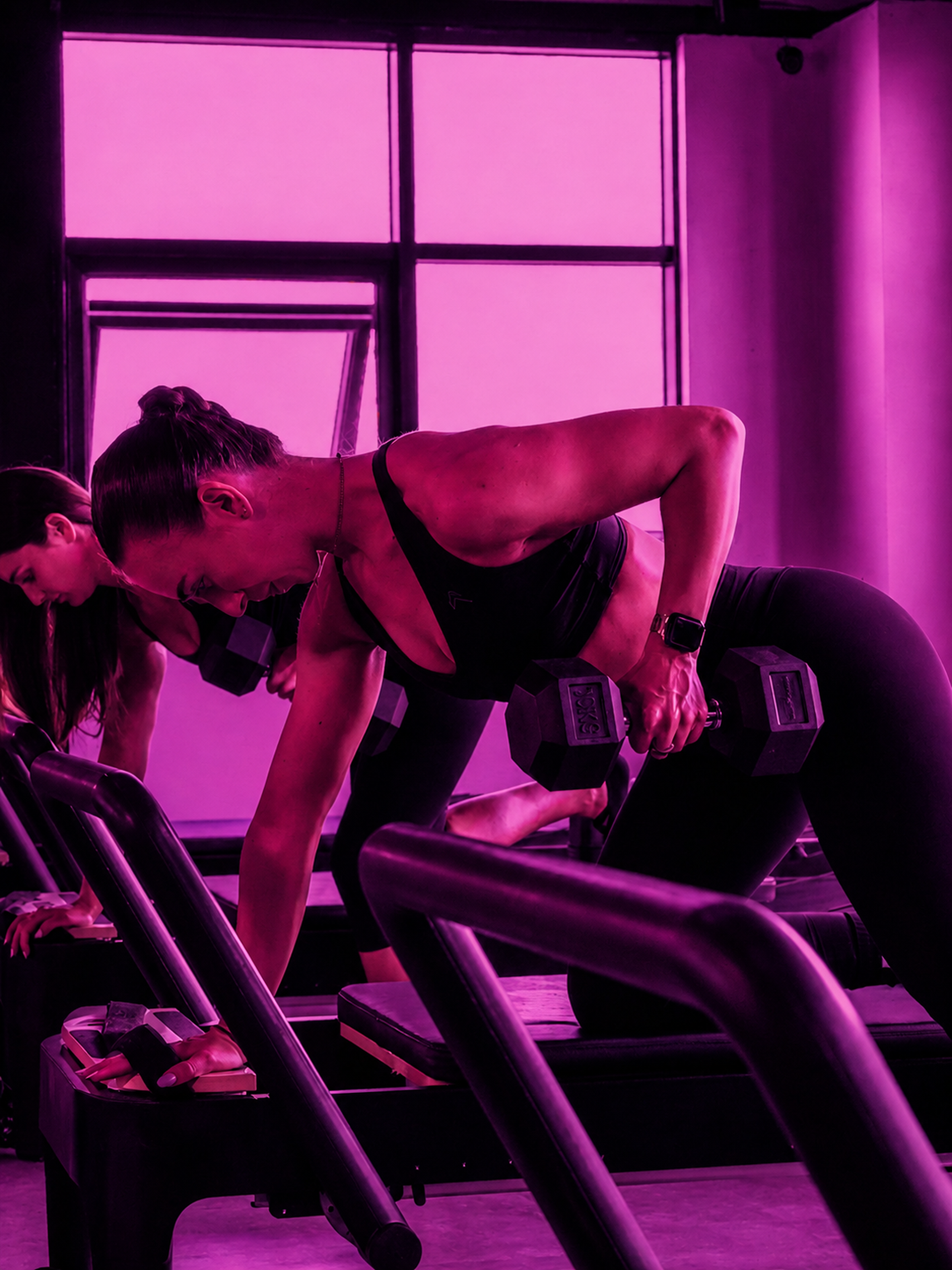 03_purple_dumbbell_4X_PRINT_MASTER.png