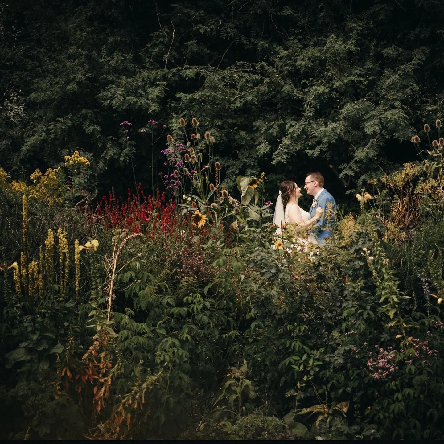 Quiet, perfect moments in the gardens, after your beautiful elopement.
As always Thank you for allowing me to share.
Thank you 🖤
Venu @bohocornwallelopements 

#boho #cornwallelopement #winterelopement #gardenweddings #quietlove #2026bride #elope #c