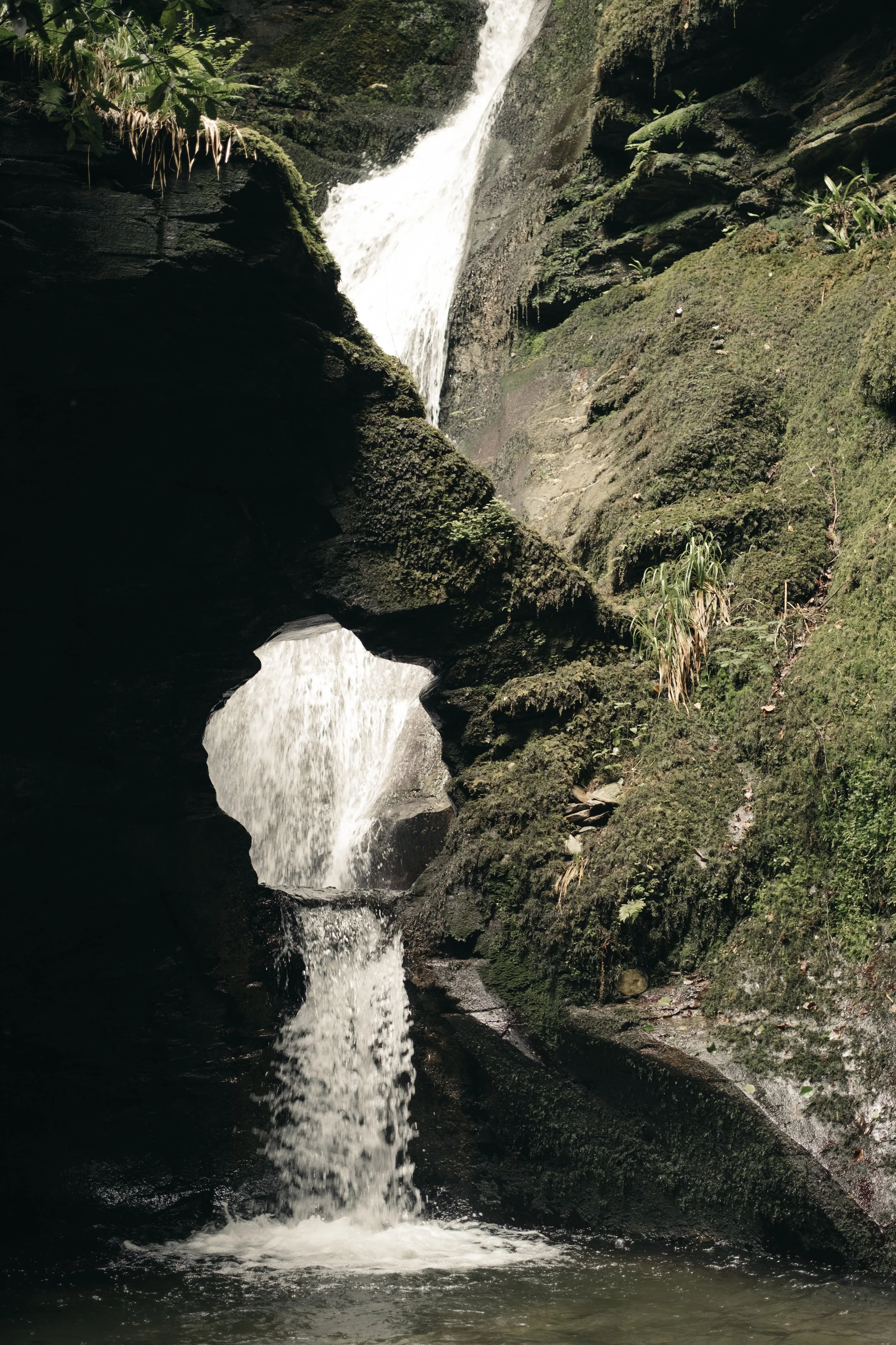 St Nectans Glen, Waterfall Elopement, Cornwall, Verity Westcott Photography-10.jpg