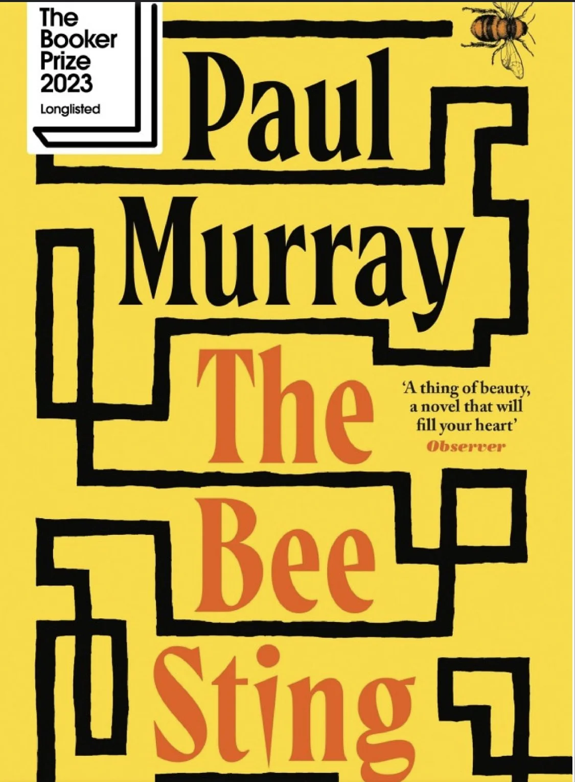 A doorstopper of a novel, and one of the Booker shortlisted this year. This one must have given the winner a run for their money because it's a masterpiece. A family falling to pieces saga seen from different members' points of view. Troubled kids, s