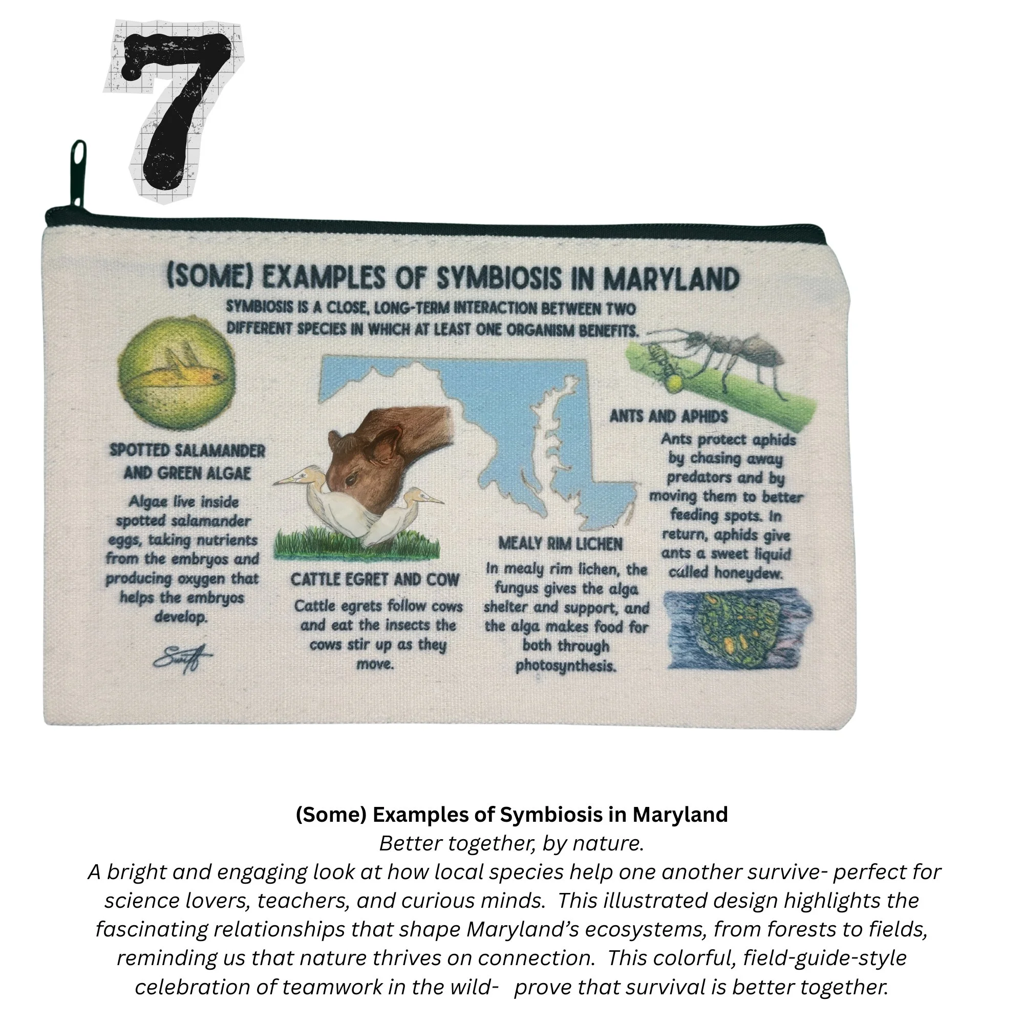 SD Field Guide  Accessory Bags Website.jpg