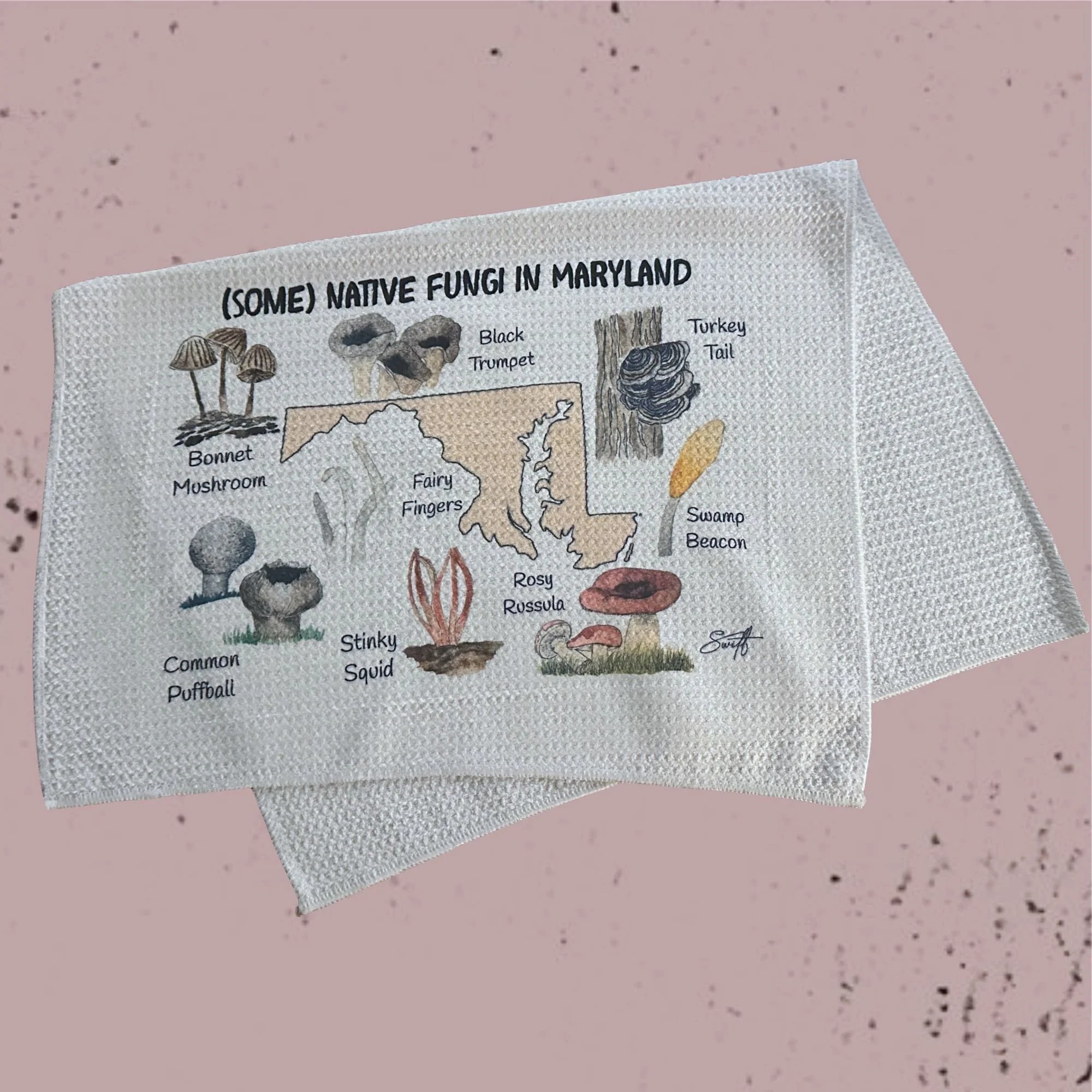 The Field Guide Hand Towel Collection