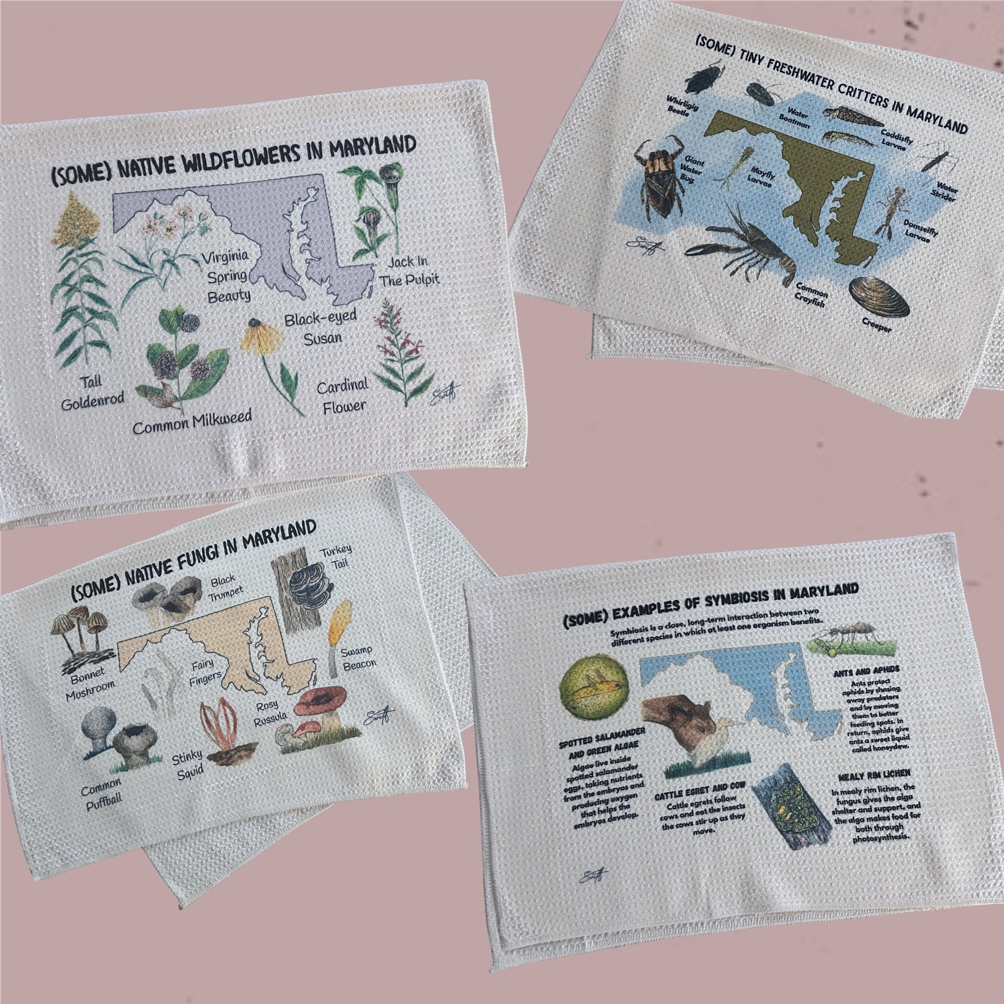 The Field Guide Hand Towel Collection