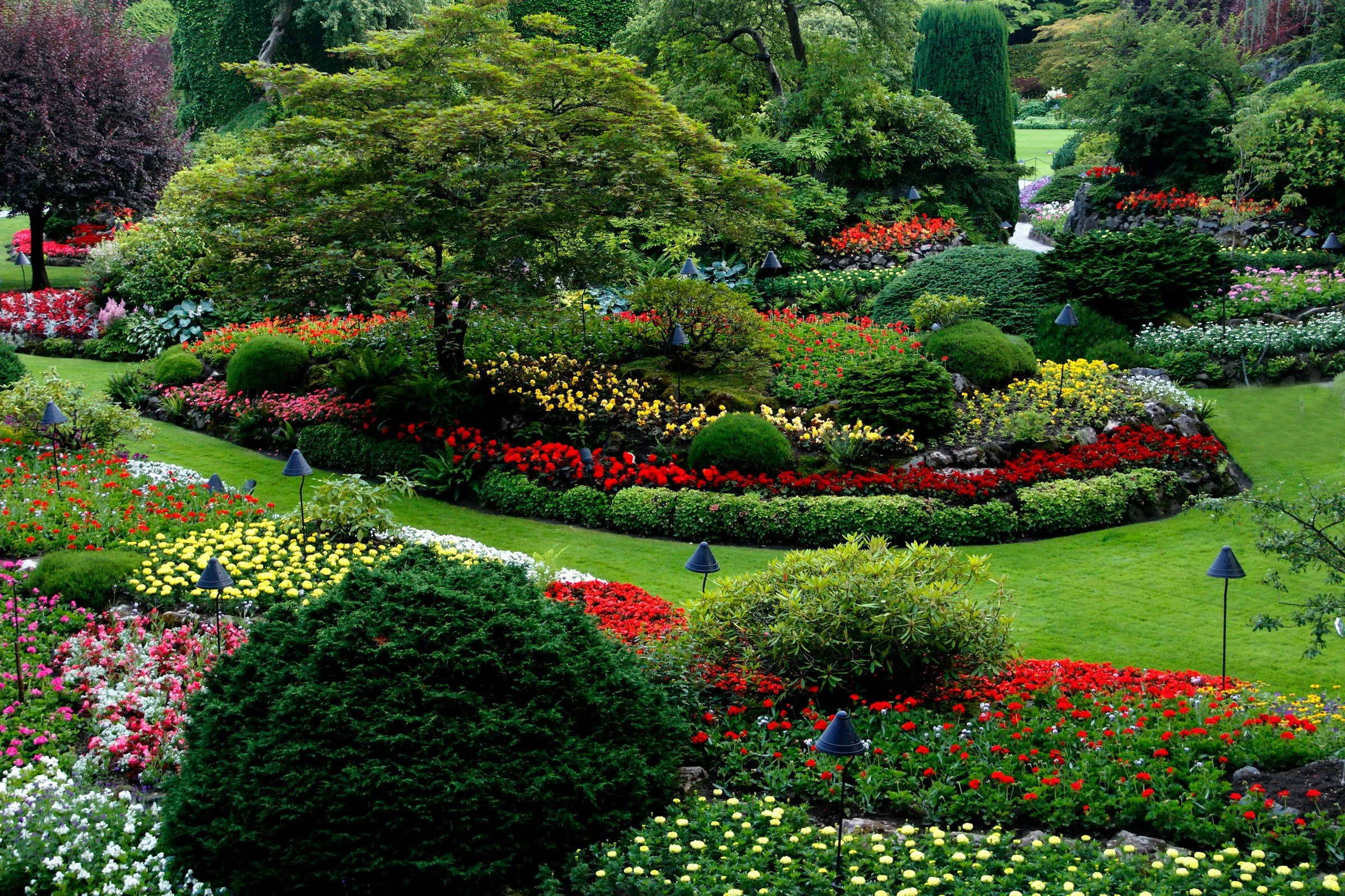 landscaping.jpeg