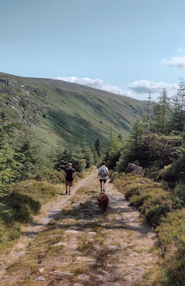 Two men and a dog hiking on a rocky trail surrounded by green trees and hills under a blue sky with clouds.