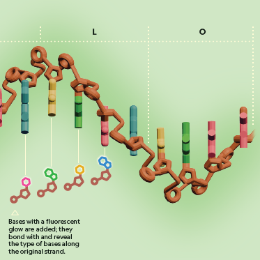 DNA data storage