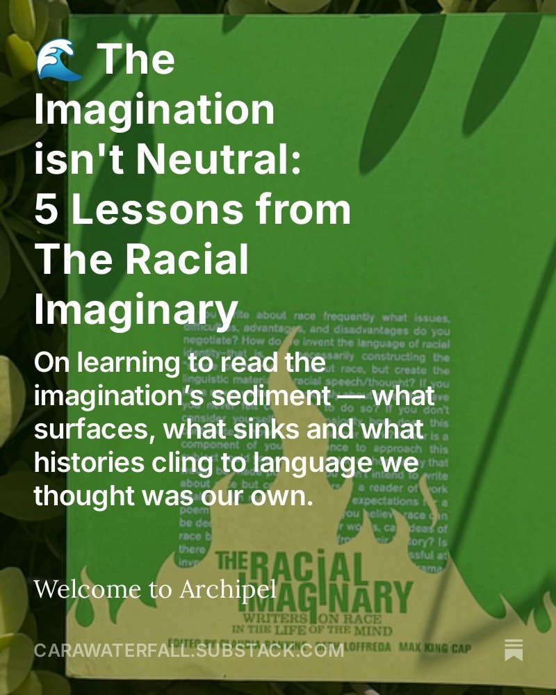 🌊 ✨ "Before it was a book, #TheRacialImaginary was a conversation.

In this week's Archipel essay, I return to that dialogue &mdash; to the reminder that the imagination isn't a blank page. It carries history, power and inheritance. 

💭🪶📜 Sw