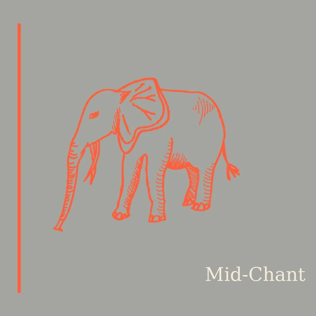 🐘 The elephant is back in the room.

CAN season has arrived, and with it: noise, joy, collective anticipation. This year doesn't begin gently &mdash; but mid-chant.

New on #Archipel: writing from inside the noise, about #Les&Eacute;l&eacute;phants,