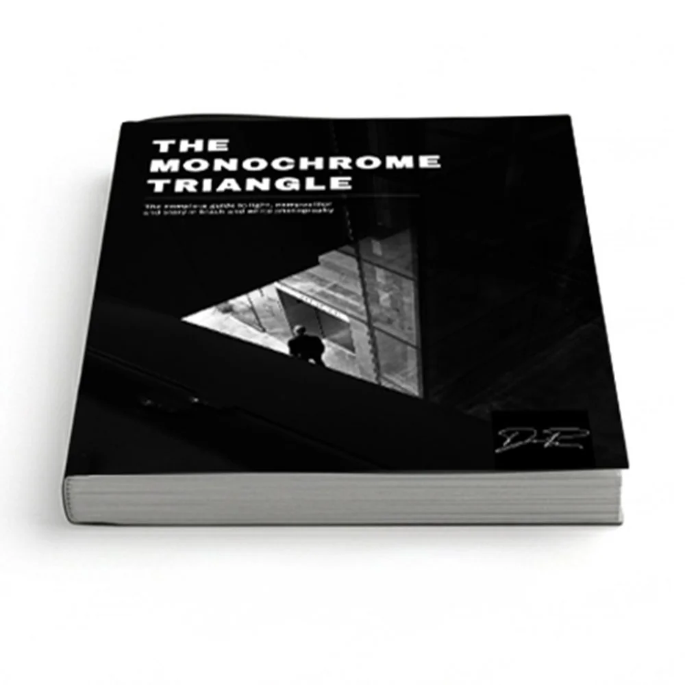 Book titled 'The Monochrome Triangle' with a black and white cover featuring a person looking out from a modern building.