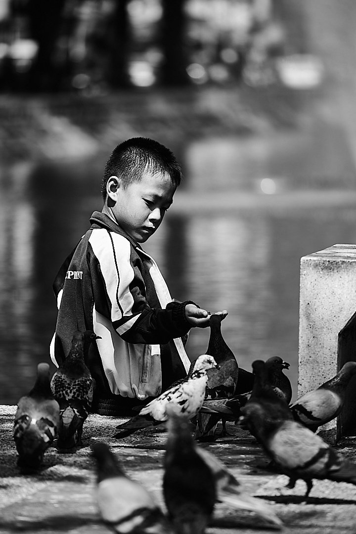 He sat at the edge of the water and fed the birds one handful at a time, completely absorbed, the city moving behind him as if it belonged to a different world entirely.