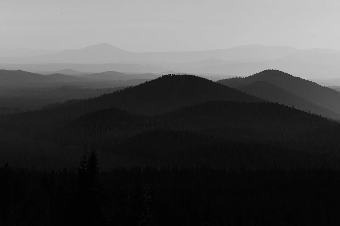 DSCF9356.jpg