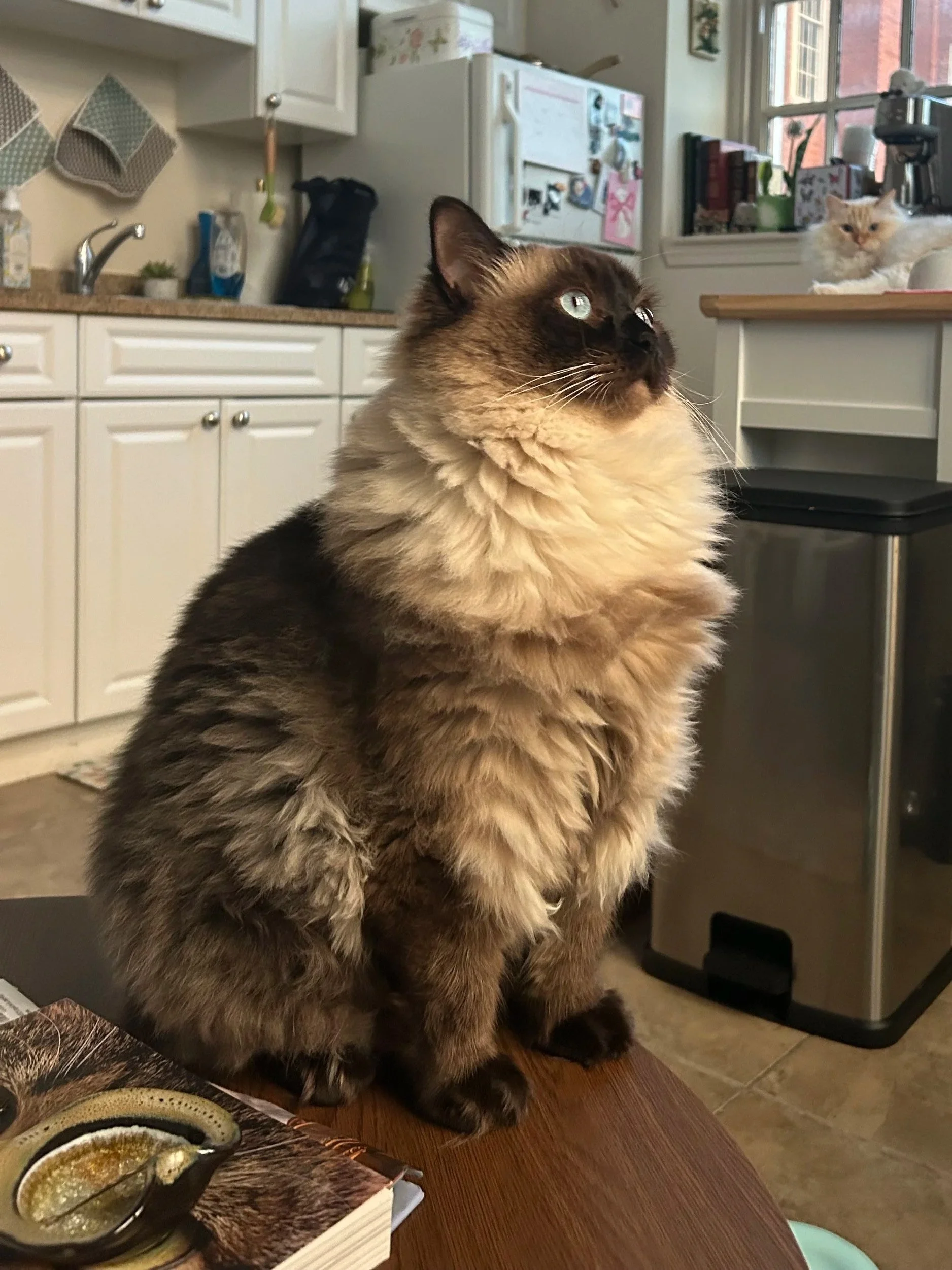Archie