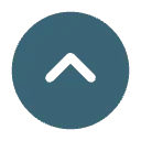 A circular blue button with an upward-pointing arrow icon.