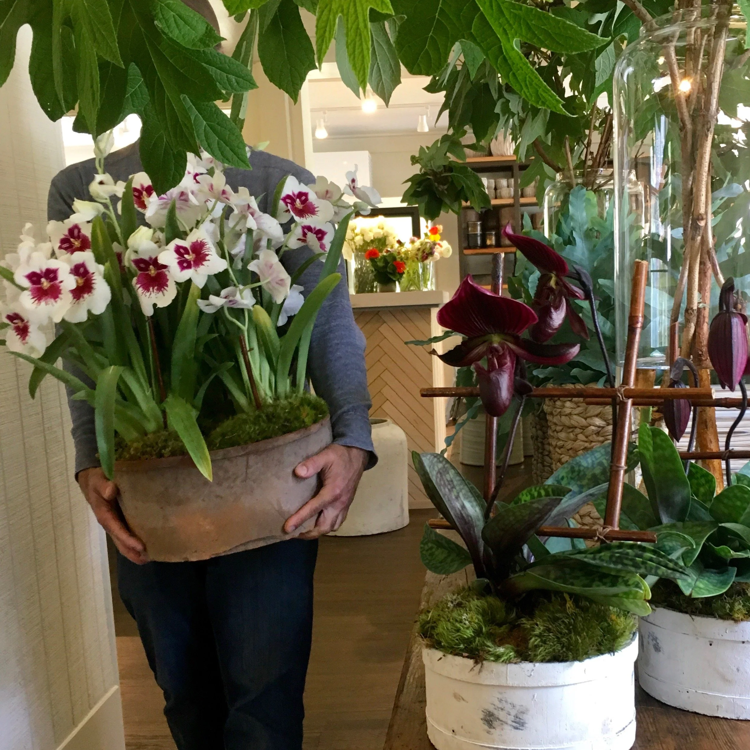 Miltonia & Chris.jpeg