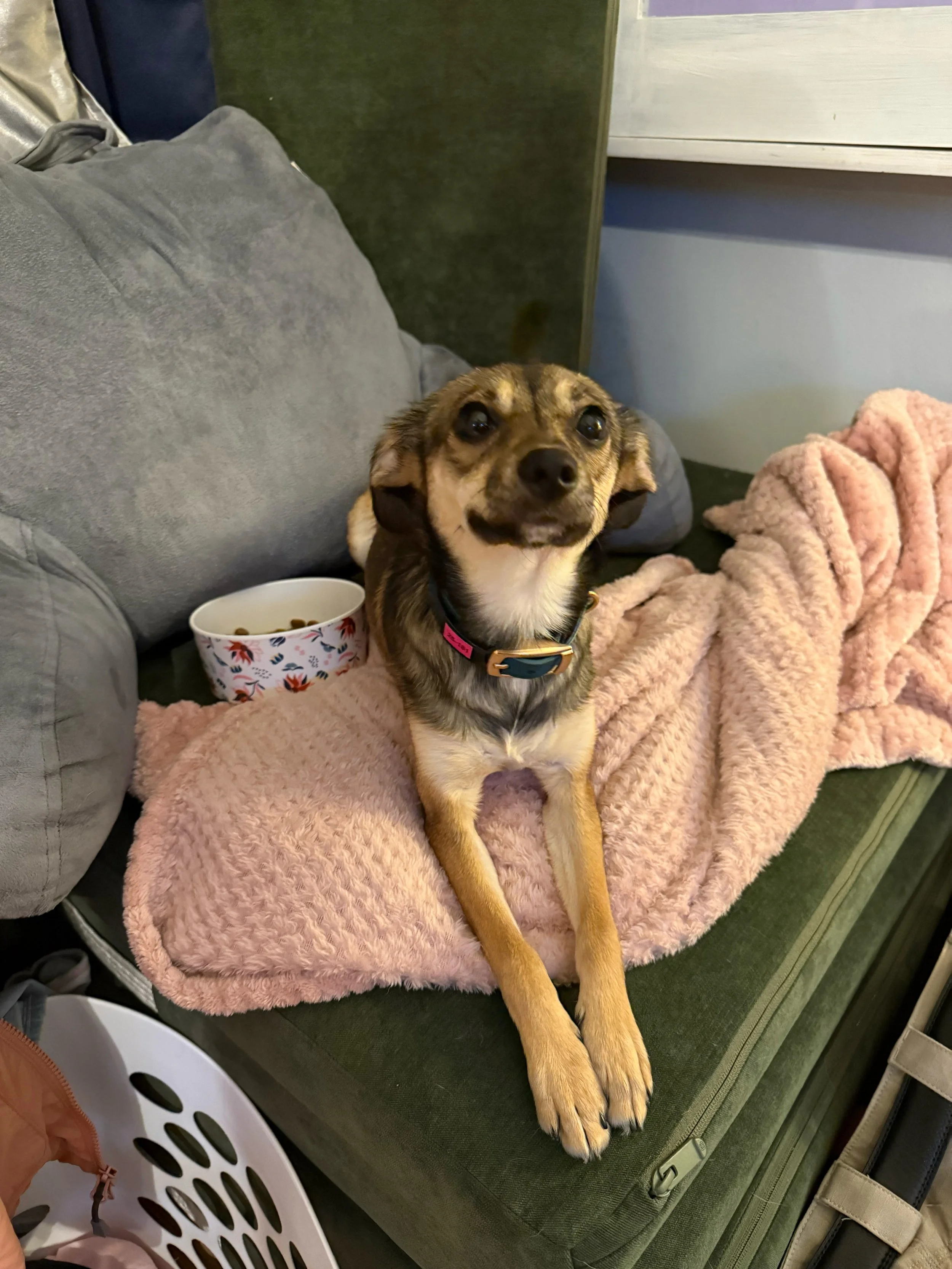 Roxy