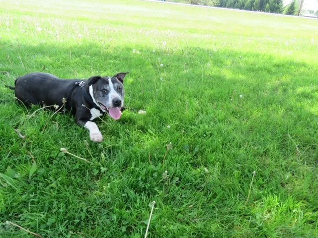 image6.jpeg