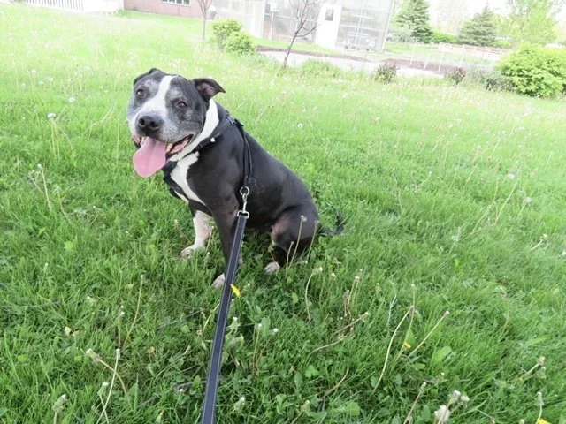 image10.jpeg