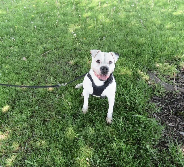 image14.jpeg