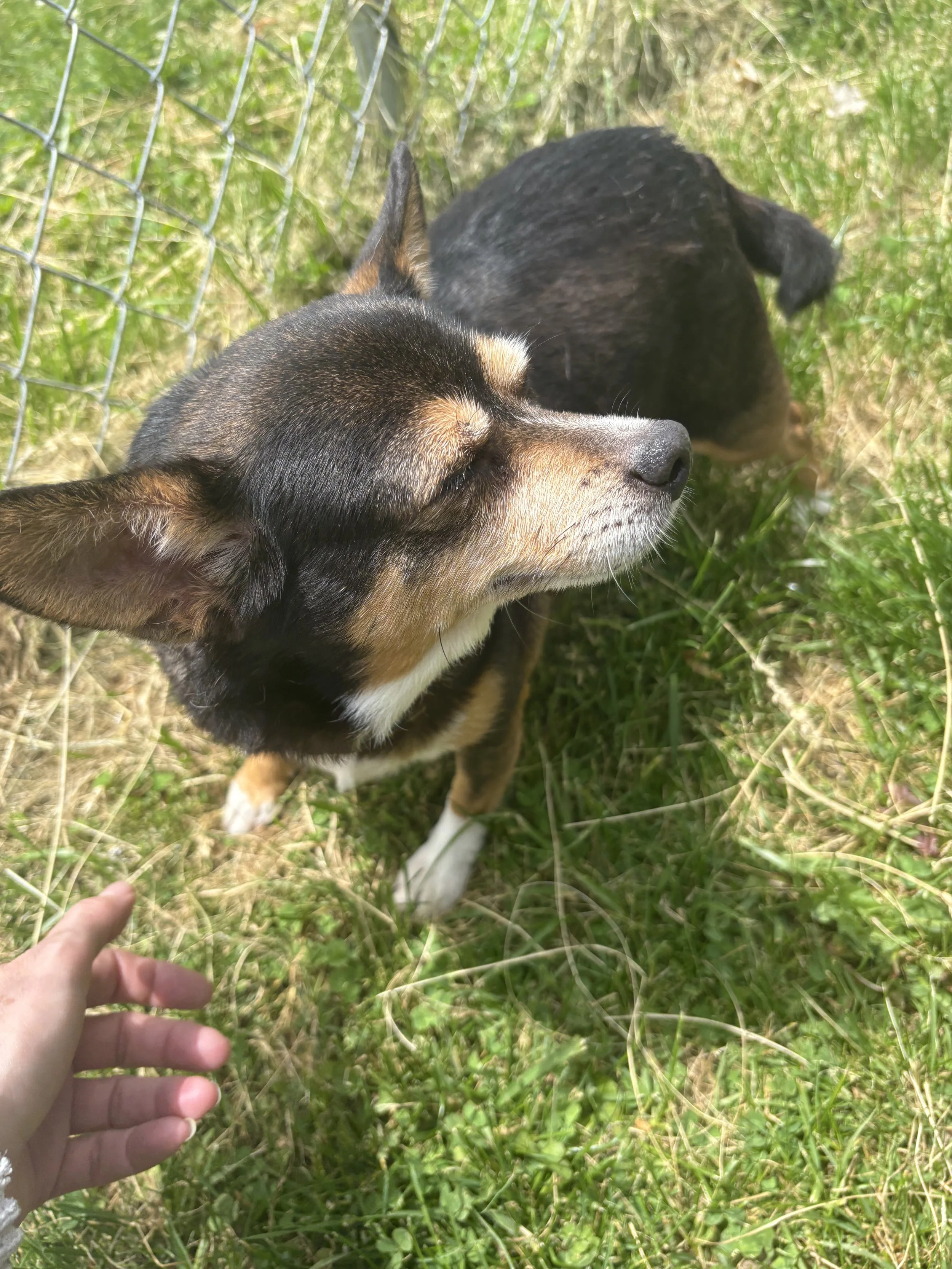 IMG_8541.jpeg
