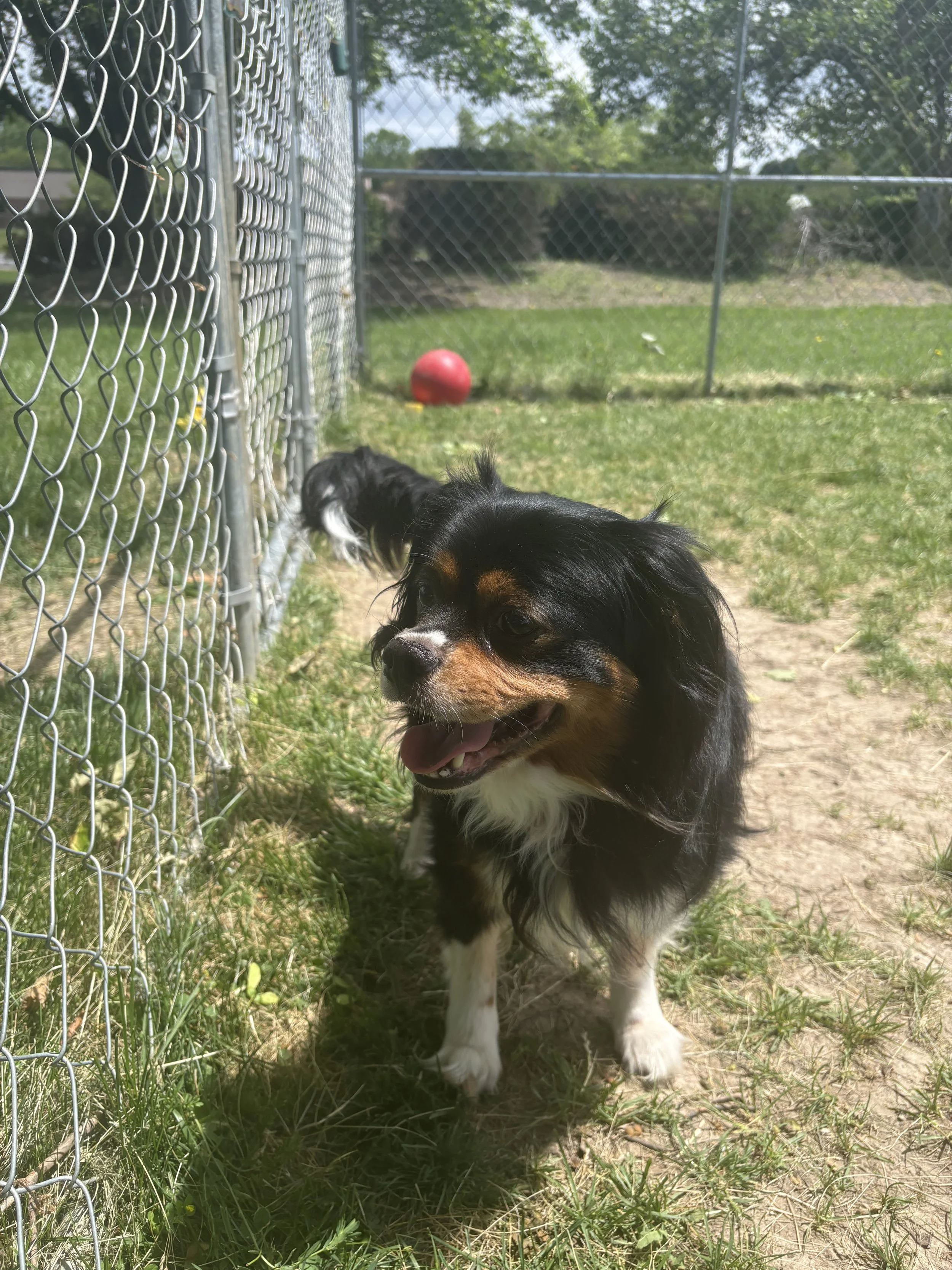 IMG_8617.jpeg