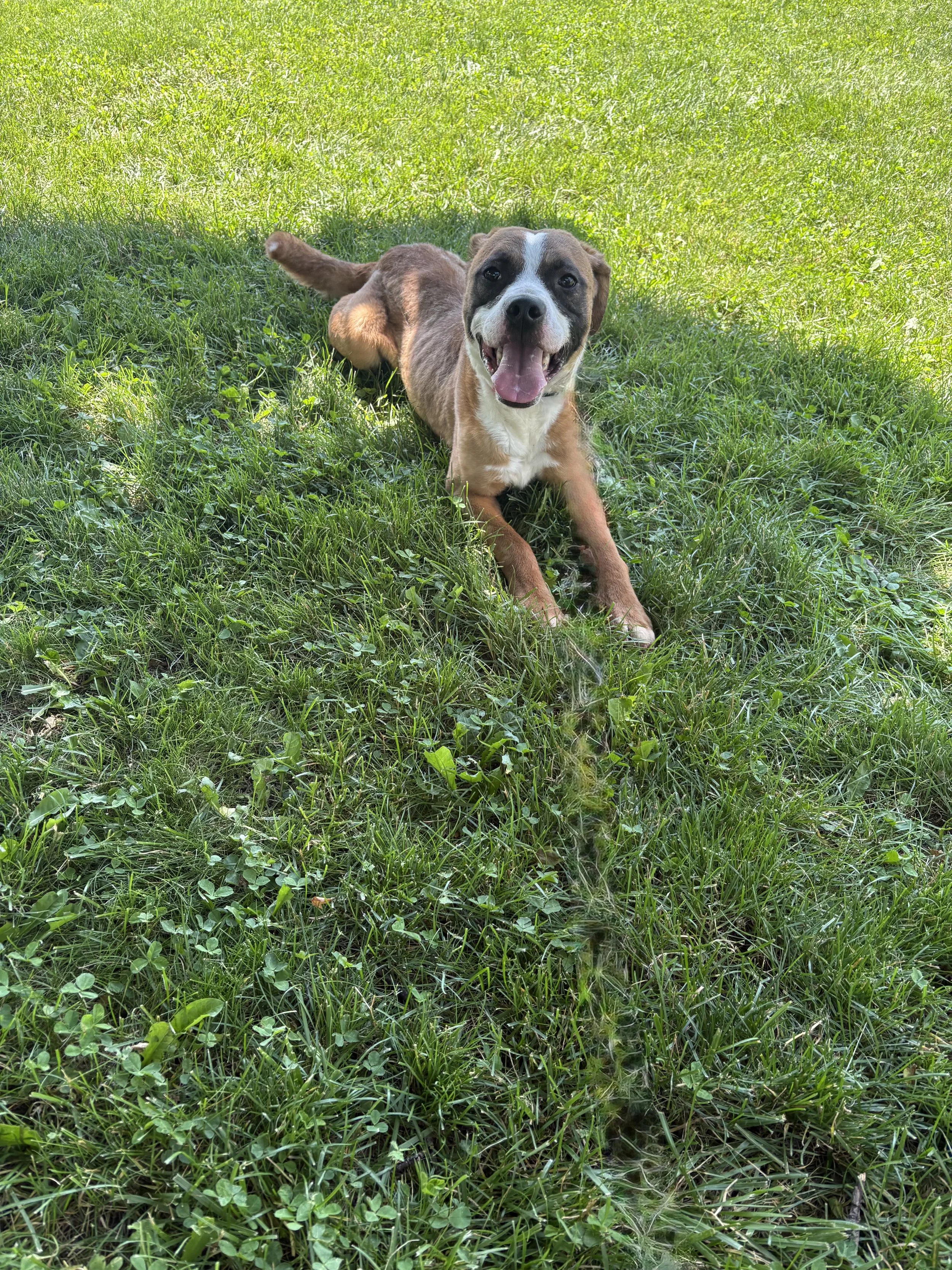 IMG_1726.jpeg